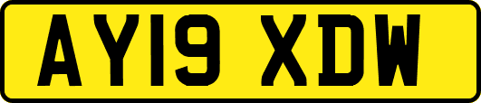 AY19XDW