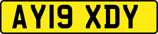 AY19XDY