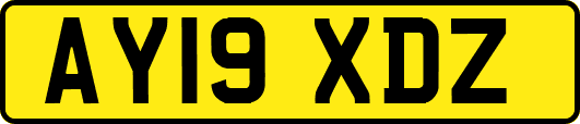 AY19XDZ