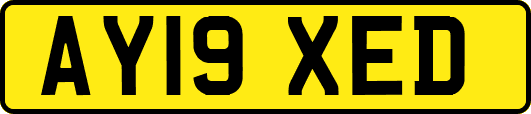 AY19XED