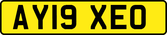 AY19XEO