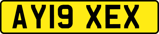 AY19XEX