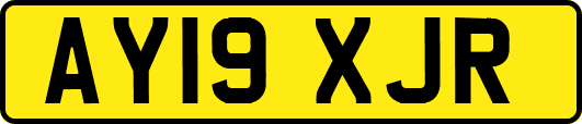 AY19XJR