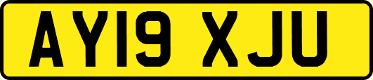 AY19XJU