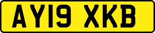 AY19XKB