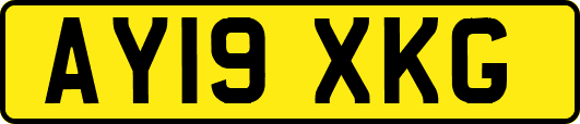 AY19XKG