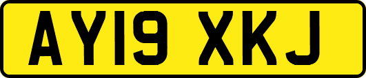 AY19XKJ