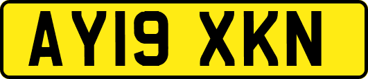 AY19XKN