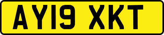 AY19XKT