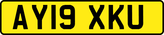 AY19XKU