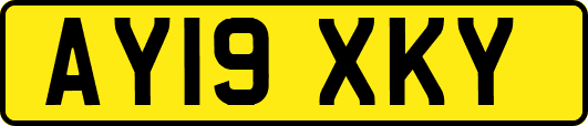 AY19XKY