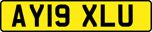 AY19XLU