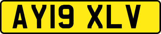 AY19XLV