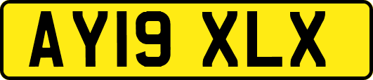 AY19XLX