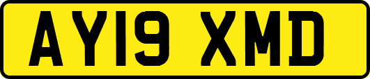 AY19XMD