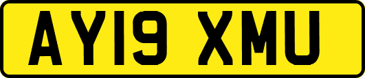 AY19XMU