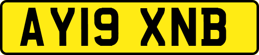 AY19XNB