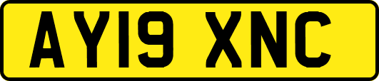 AY19XNC