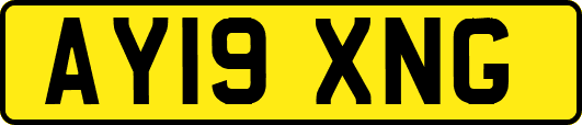 AY19XNG