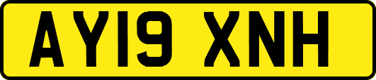 AY19XNH