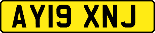 AY19XNJ