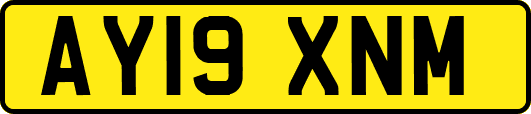 AY19XNM