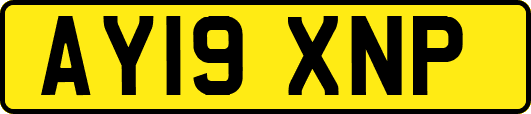 AY19XNP