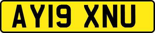 AY19XNU