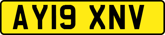 AY19XNV