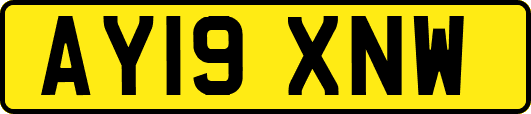AY19XNW
