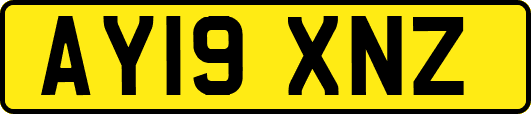 AY19XNZ