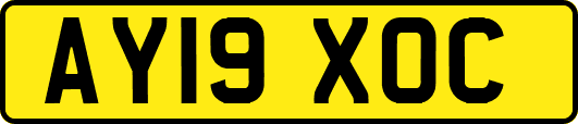 AY19XOC