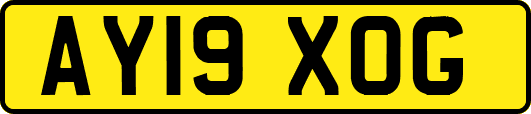 AY19XOG