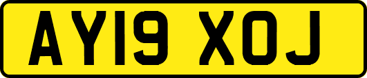 AY19XOJ