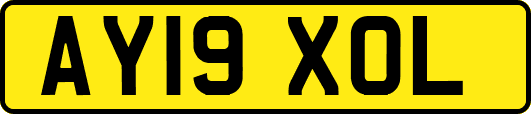 AY19XOL