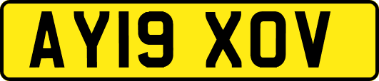 AY19XOV