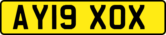AY19XOX