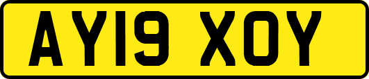 AY19XOY