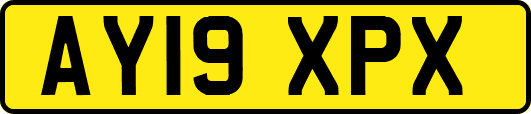 AY19XPX