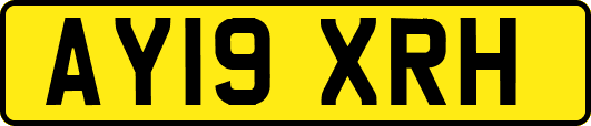 AY19XRH