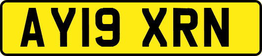 AY19XRN