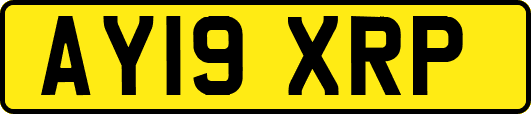 AY19XRP