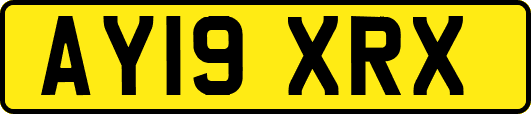 AY19XRX