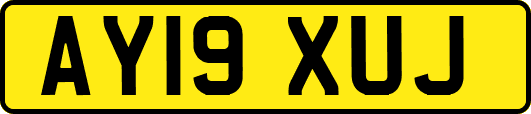 AY19XUJ