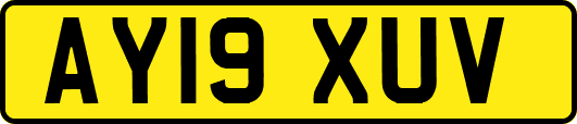 AY19XUV