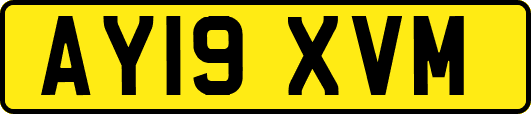 AY19XVM