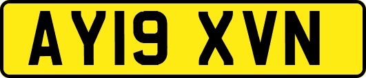 AY19XVN
