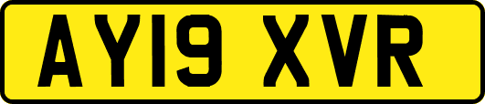 AY19XVR