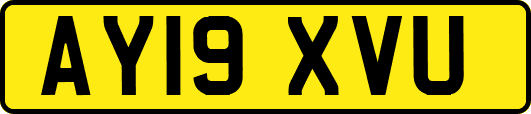 AY19XVU