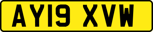 AY19XVW